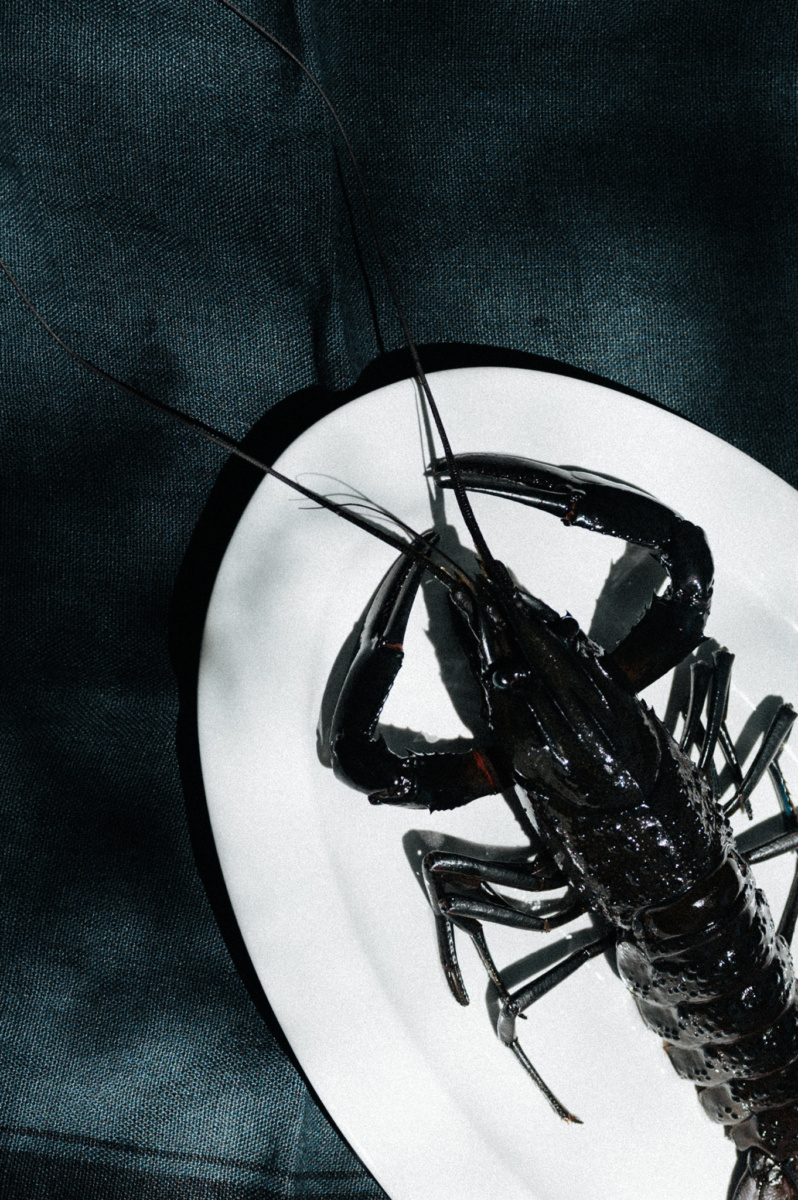 Busselton Pavilion. Pub, Wine Shop + Distillery.